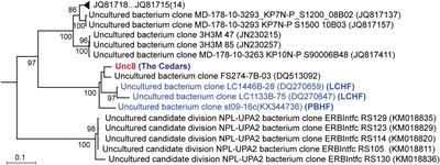 Genomic and in-situ Transcriptomic Characterization of the Candidate Phylum NPL-UPL2 From Highly Alkaline Highly Reducing Serpentinized Groundwater